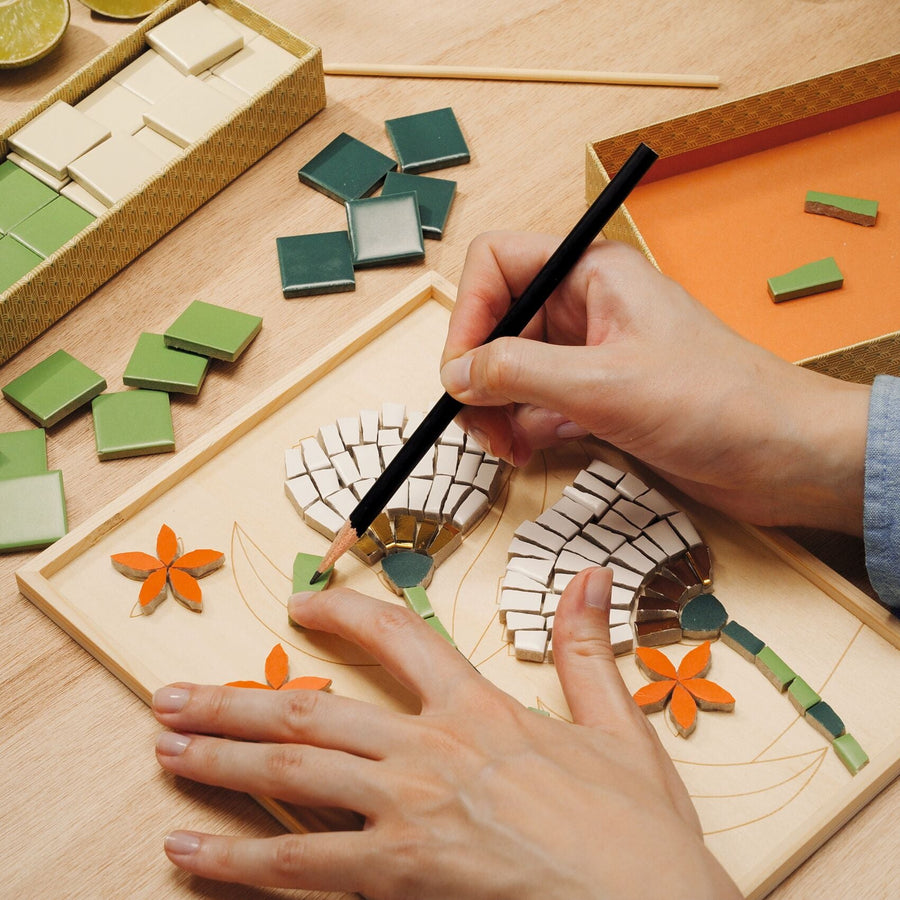 Discover Djeco’s Grand Augustins Range: Creativity for Teenagers and Adults