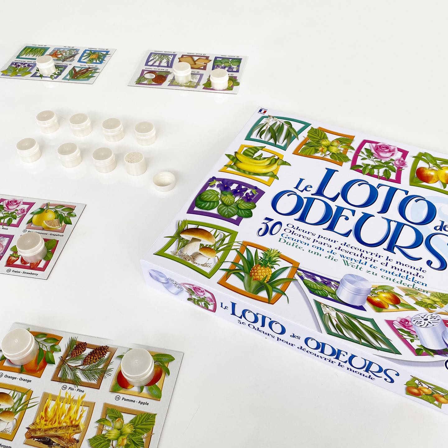Sentosphere Le Loto des Odeurs (Follow Your Nose) Game