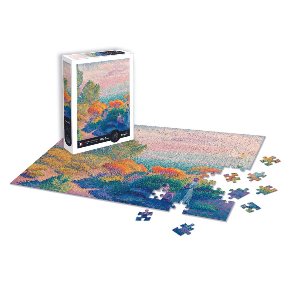1000 piece puzzle