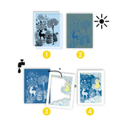 Djeco Cyanotype 