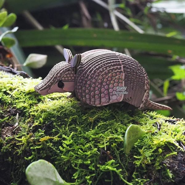 EUGY Armadillo - Kids Cardboard Craft Kit