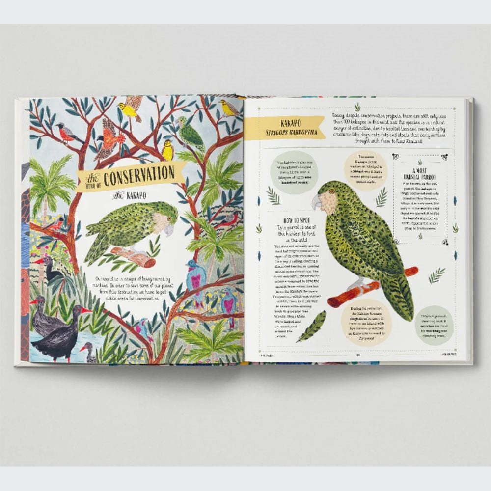 FLY - A Children's Guide to Birds & How to Spot Them