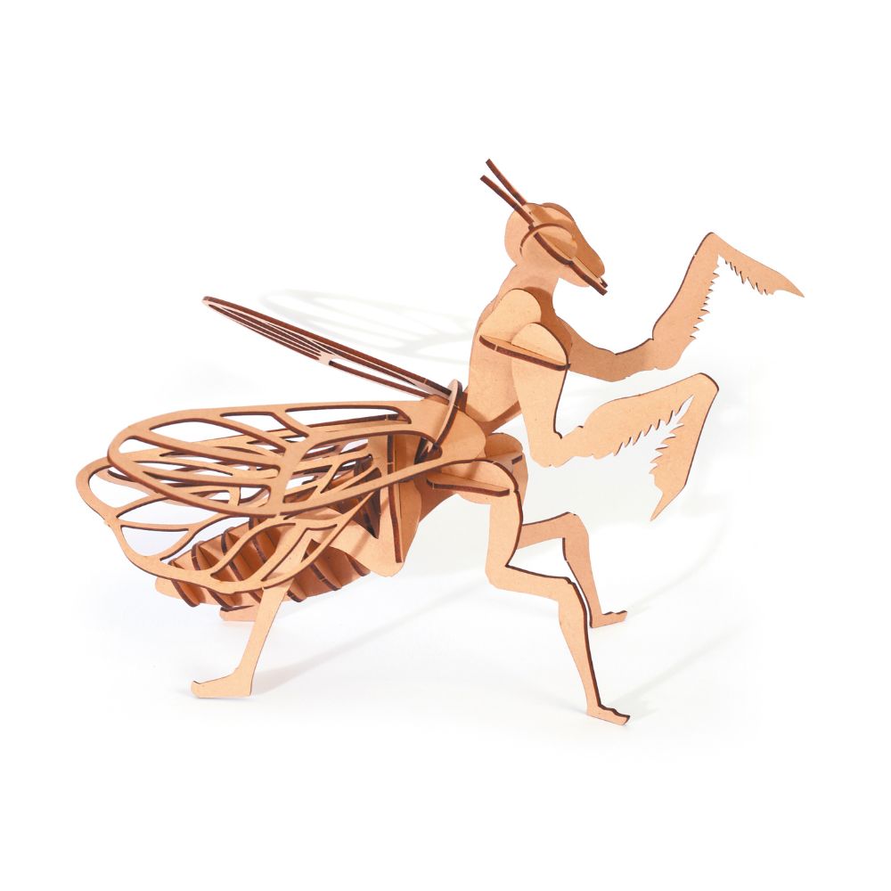 3D Wooden Model Kit - Praying Mantis