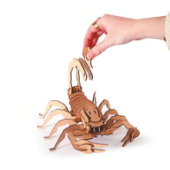 scorpion wooden model kits