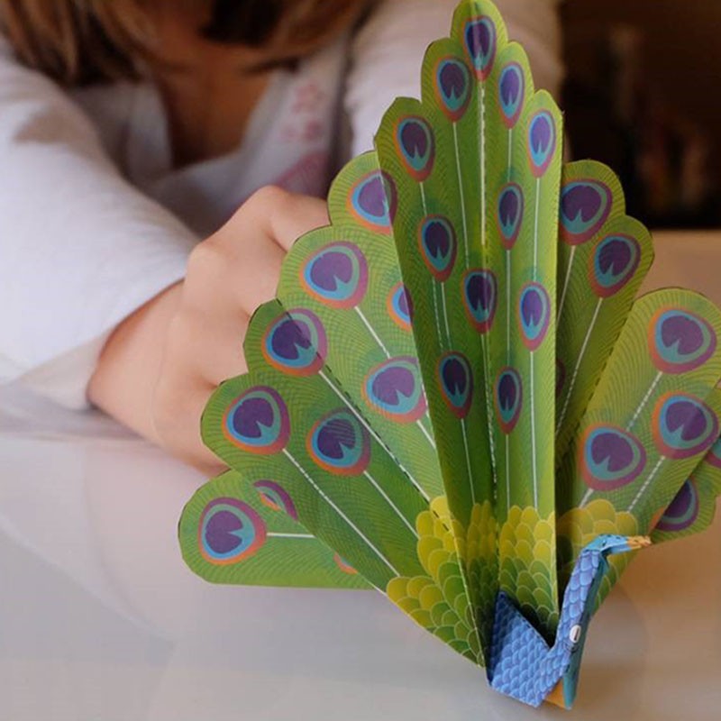 Sentosphere Origami Kit